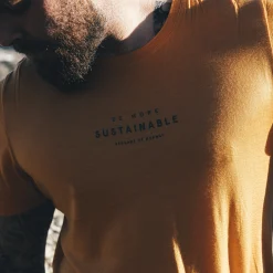 Graphic Wool Tee - Bergans